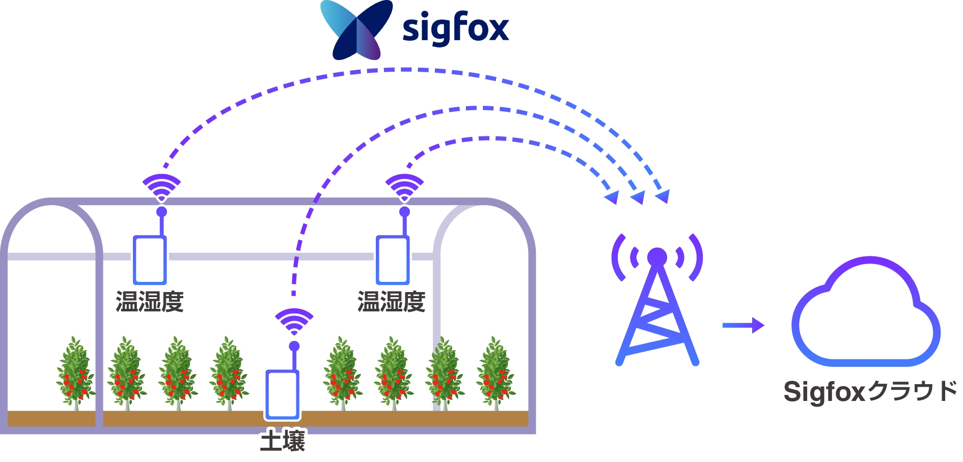 AI／IoTを活用した次世代施設園芸システム