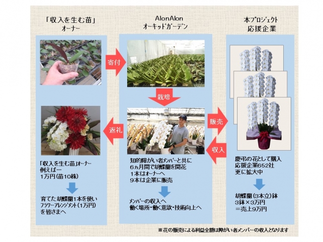 胡蝶蘭の自社栽培で、障がい者の法定雇用率を達成。新会社、A＆A株式会社の提案